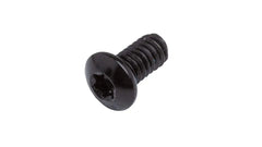 1/4-20 x 12mm Torx Head Screw
