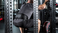 Rogue Monster Rhino Belt Squat - Drop-In