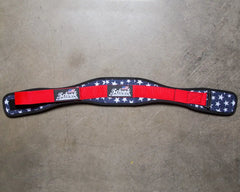 Schiek 2004 Lifting Belt