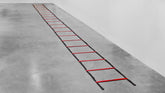 30' Agility Ladder