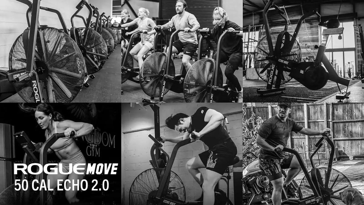 Rogue Move - 50 Cal Echo 2.0 (eBook)