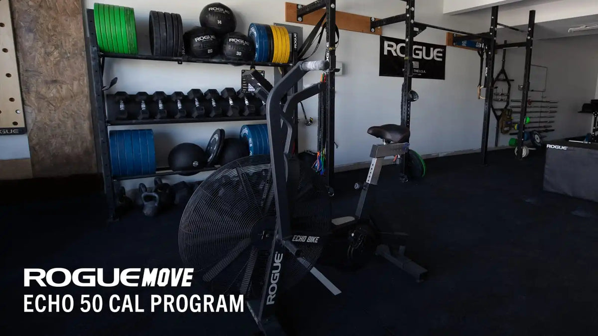 Rogue Move - Echo 50 Cal Program (eBook)