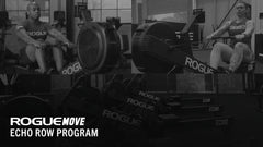 Rogue Move - Echo Row Program (eBook)