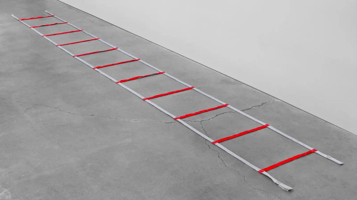 Web Agility Ladder