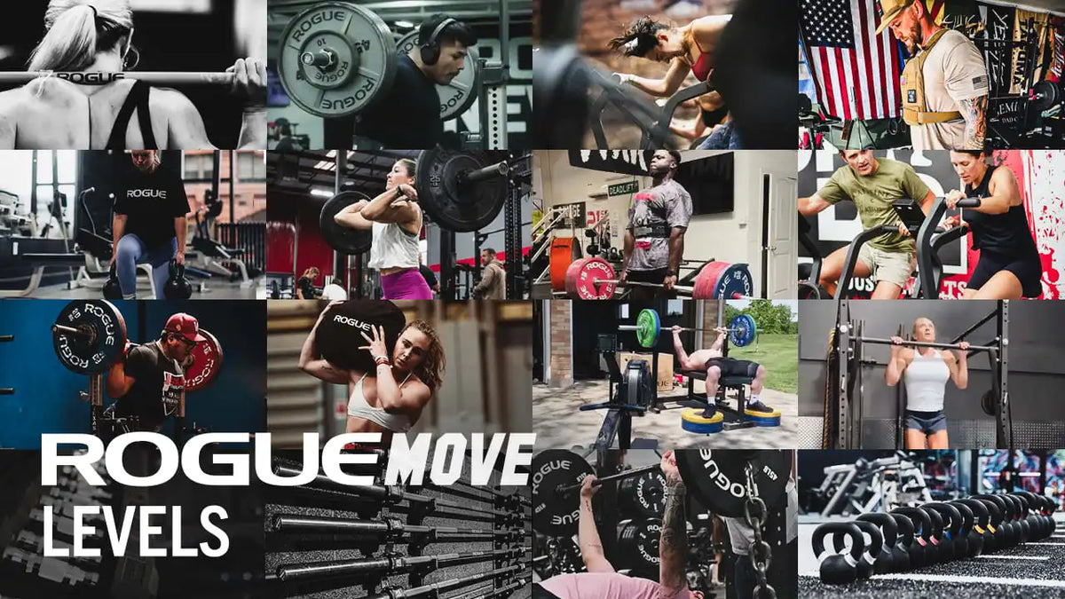 Rogue Move Levels (Subscription)