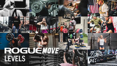 Rogue Move Levels (Subscription)